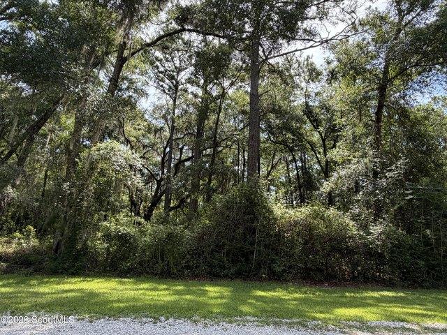 Land for sale in Darien, Georgia