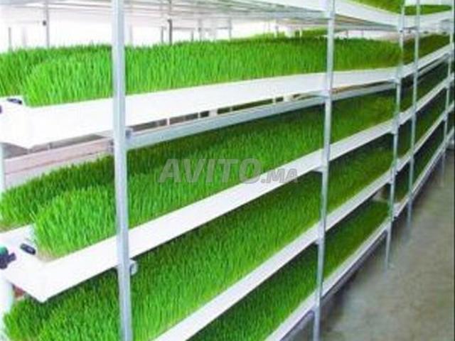 Appartement vente à Anfa, Gharb-Chrarda-Beni Hssen