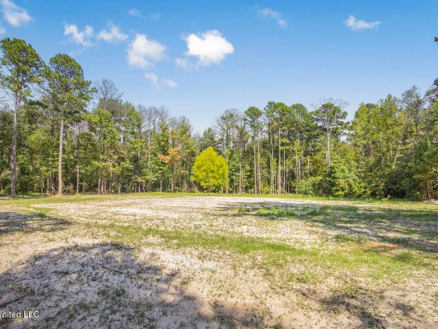Land for sale in Mississippi
