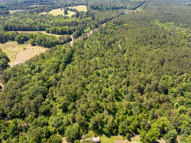 Land for sale in Atlanta, Texas