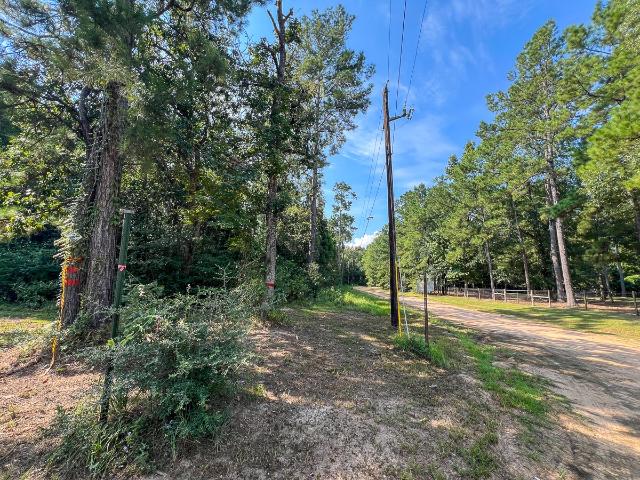 Land for sale in Hillister, Texas