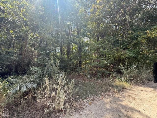 Land for sale in Bono, Craighead County