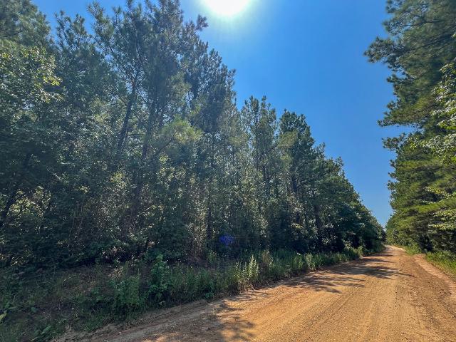 Land for sale in Colmesneil, Texas