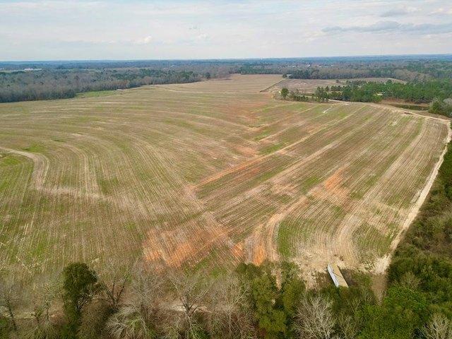 Farm for sale in Brundidge, Alabama