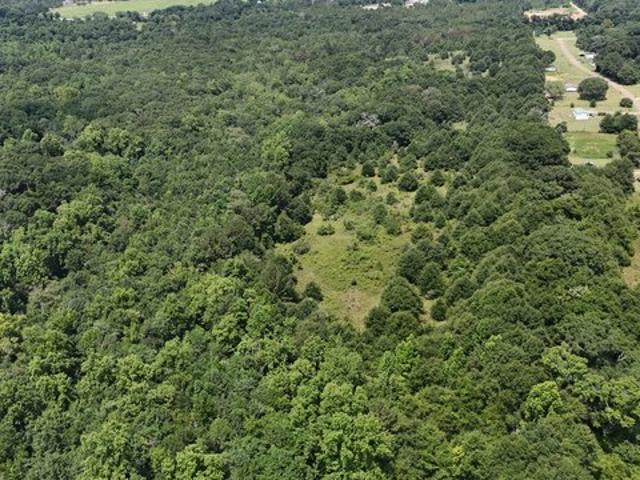 Land for sale in Troy, Alabama