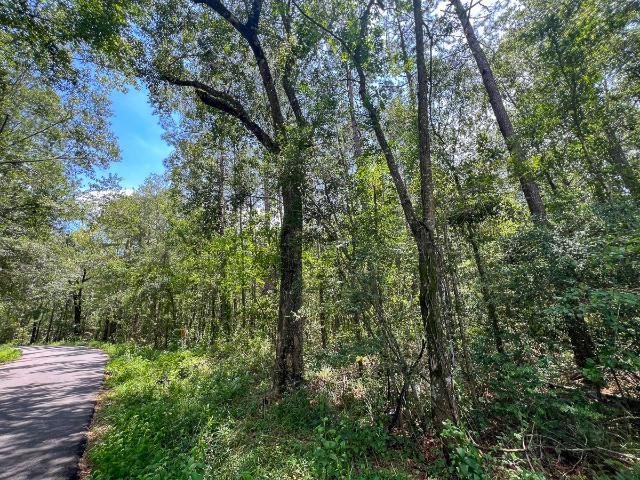 Land for sale in Jasper, Texas