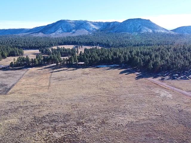 House for sale in Alpine, Arizona
