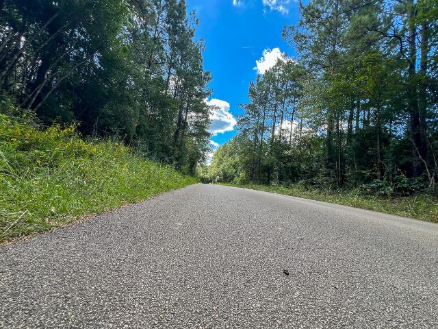 Land for sale in Hillister, Texas