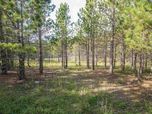 Land for sale in Davis, Tucker County
