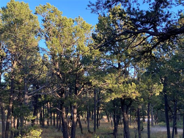 Land for sale in Pecos, San Miguel County