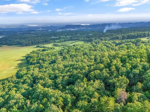 Farm for sale in Sevierville, East Tennessee