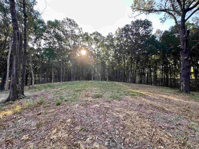 Land for sale in Oakland, West Tennessee
