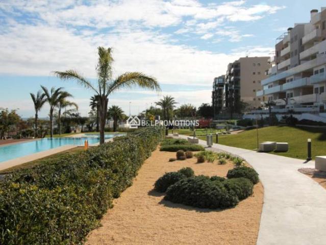 Apartamento en alquiler en Mil Palmeras, el Baix Segura / La Vega Baja