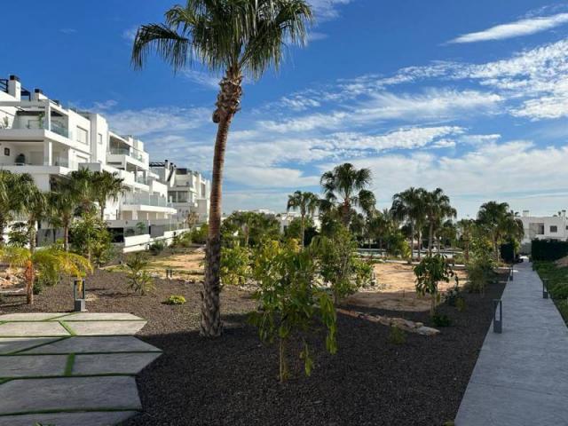 Apartamento en alquiler en Torrevieja