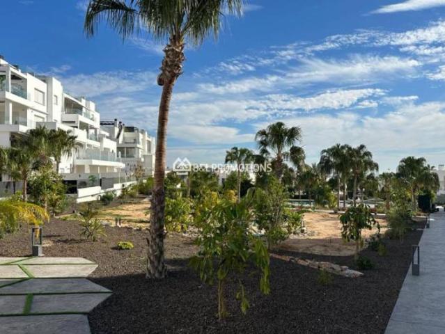 Apartamento en alquiler en Urbanización La Ceñuela, el Baix Segura / La Vega Baja