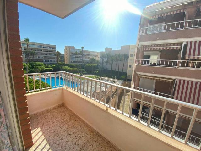 Apartamento en alquiler en Torrevieja, El Palmeral