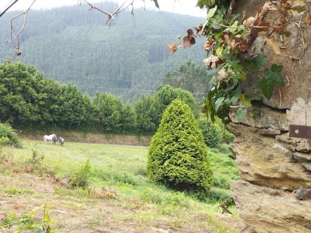 Casa en venta en Cerdido, Ortegal