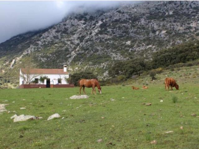 Casa en venta en Serranía de Ronda, Andalucía