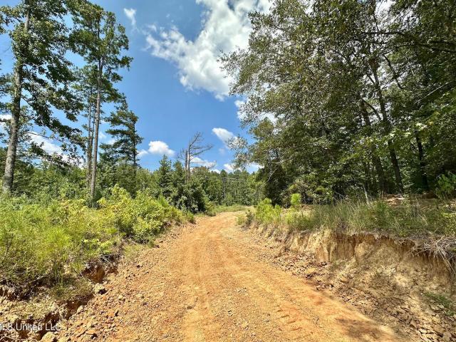 Land for sale in Terry, Mississippi