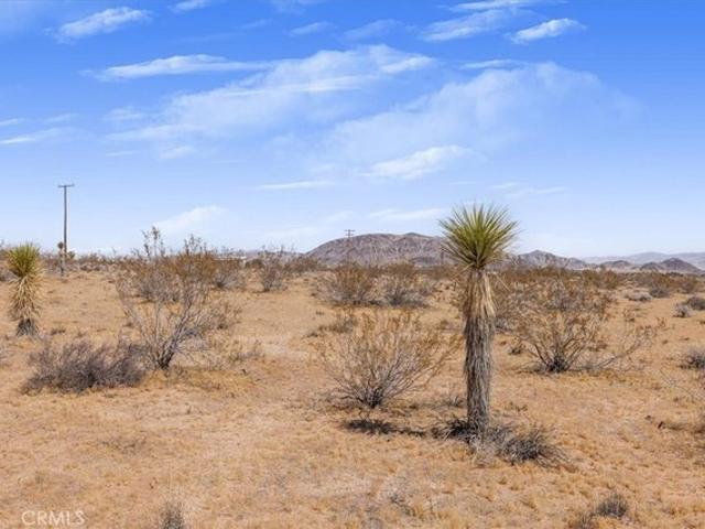 Land for sale in Landers, California