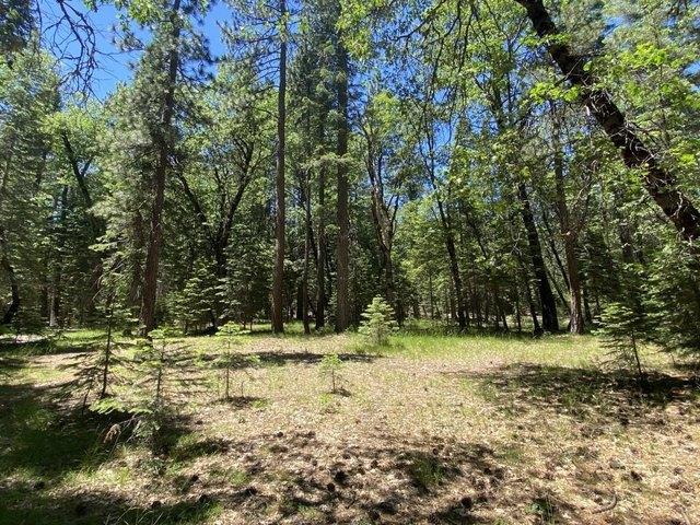 Land for sale in Mccloud, California