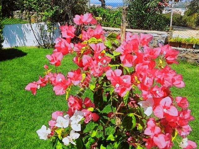 Çeşme, İzmir içerisinde satılık Villa