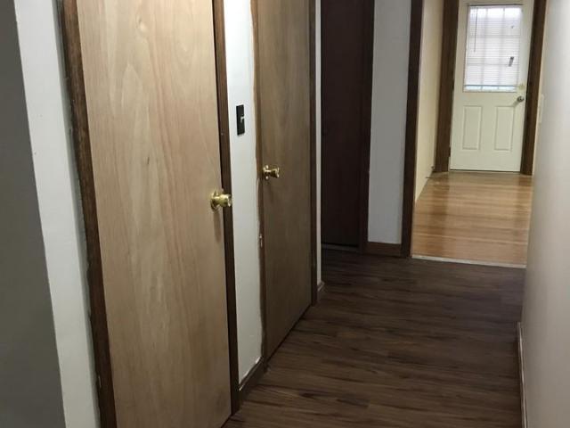 Apartment for rent in Webster