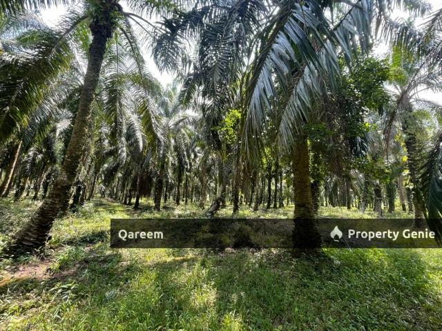 Property for sale in Selangor