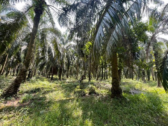 Property for sale in Selangor