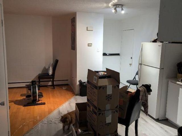 Apartment for rent in Jacques-cartier, Quebec