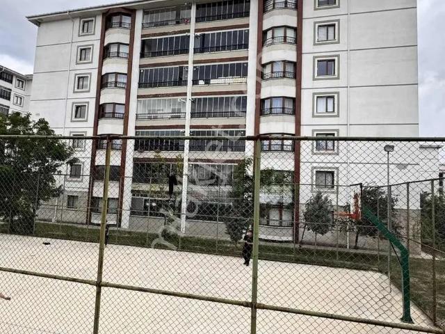 Suluova, Amasya içerisinde satılık mülk