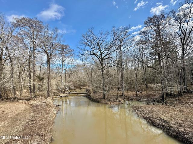 Land for sale in Carthage, Mississippi
