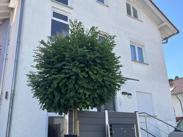 Haus kaufen in Karben, Burg-Gräfenrode