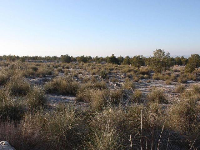 Terreno en venta en Puebla de Don Fadrique, Granada