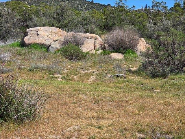 Land for sale in Anza, California