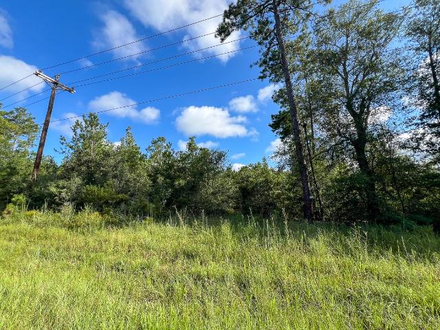 Land for sale in Jasper, Texas