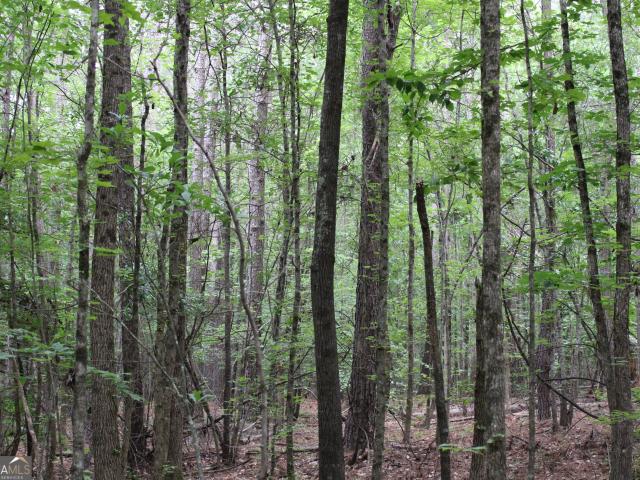 Land for sale in Hull, Georgia