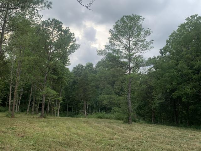 Land for sale in Tennessee