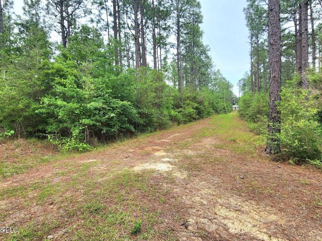 Land for sale in Poplarville, Mississippi