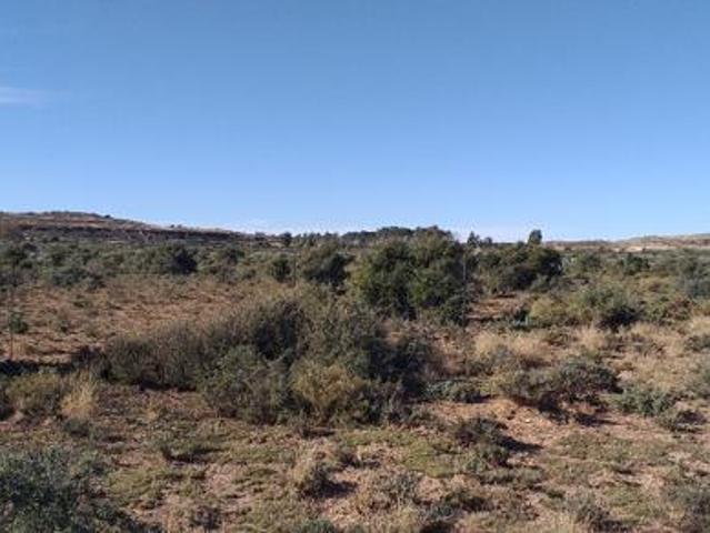 Land for sale in Victoria West, Northern Cape