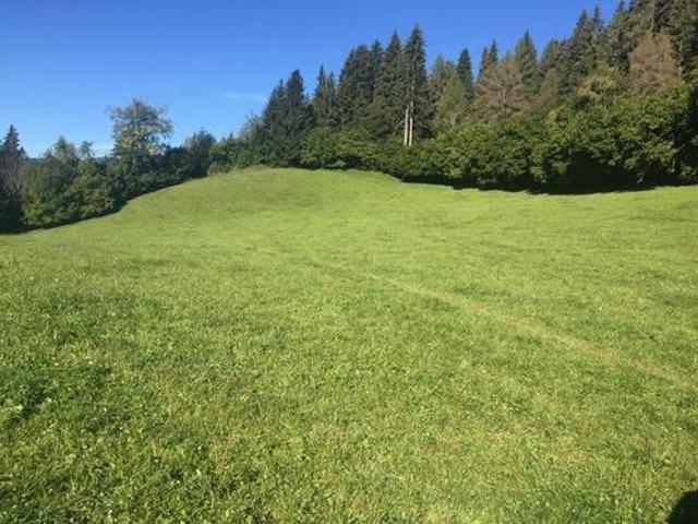 Grundstück kaufen in St. Georgen ob Judenburg, Steiermark
