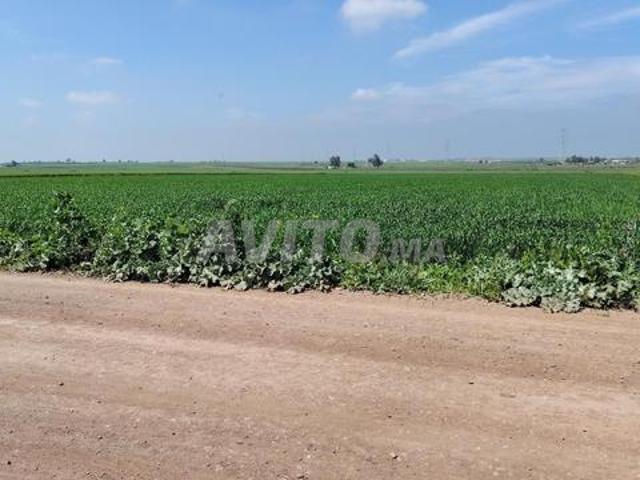 Propriété vente à Slimane, Gharb-Chrarda-Beni Hssen