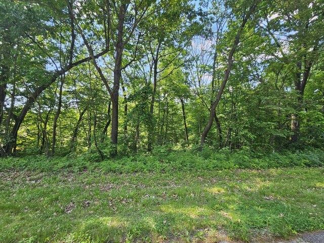 Land for sale in Galena, Illinois