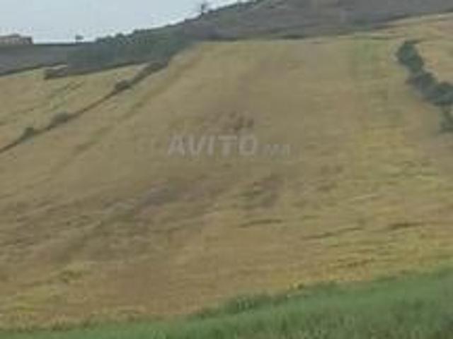 Propriété vente à Berkane