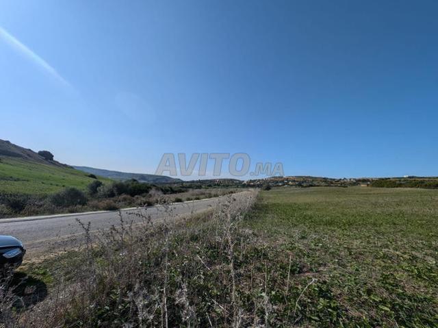 Propriété vente à Assilah, Tanger-Tétouan