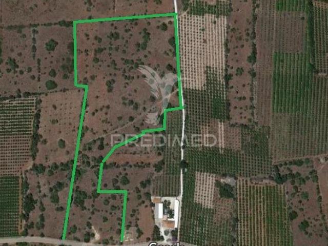 Quinta venda em Tunes, Faro