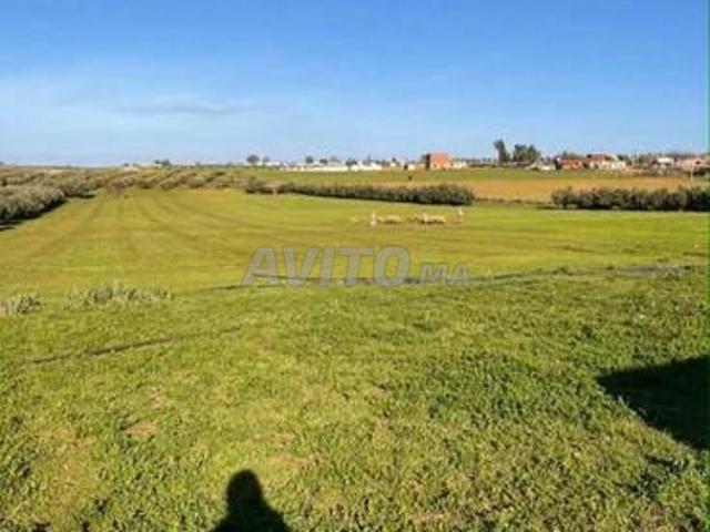 Propriété vente à Meknès