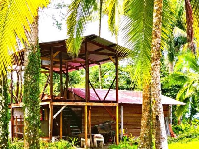 3 hectares of caribbean oceanfront in miramar