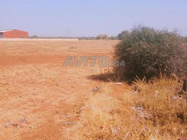Propriété vente à Ait Ouallal
