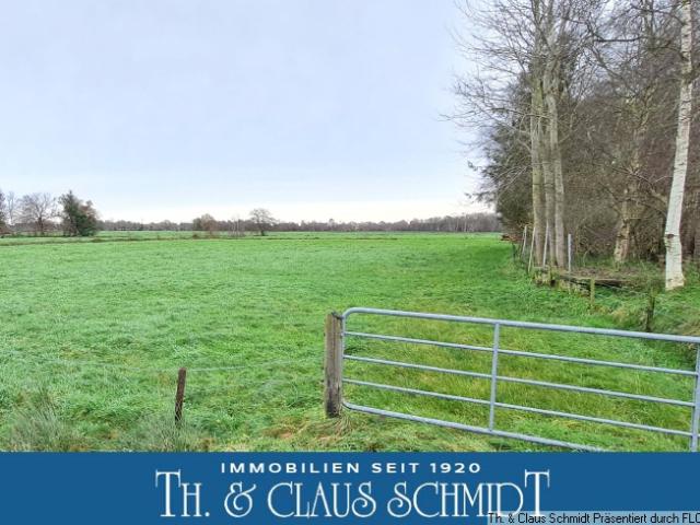 Landwirtschaft kaufen in Loy, Rastede